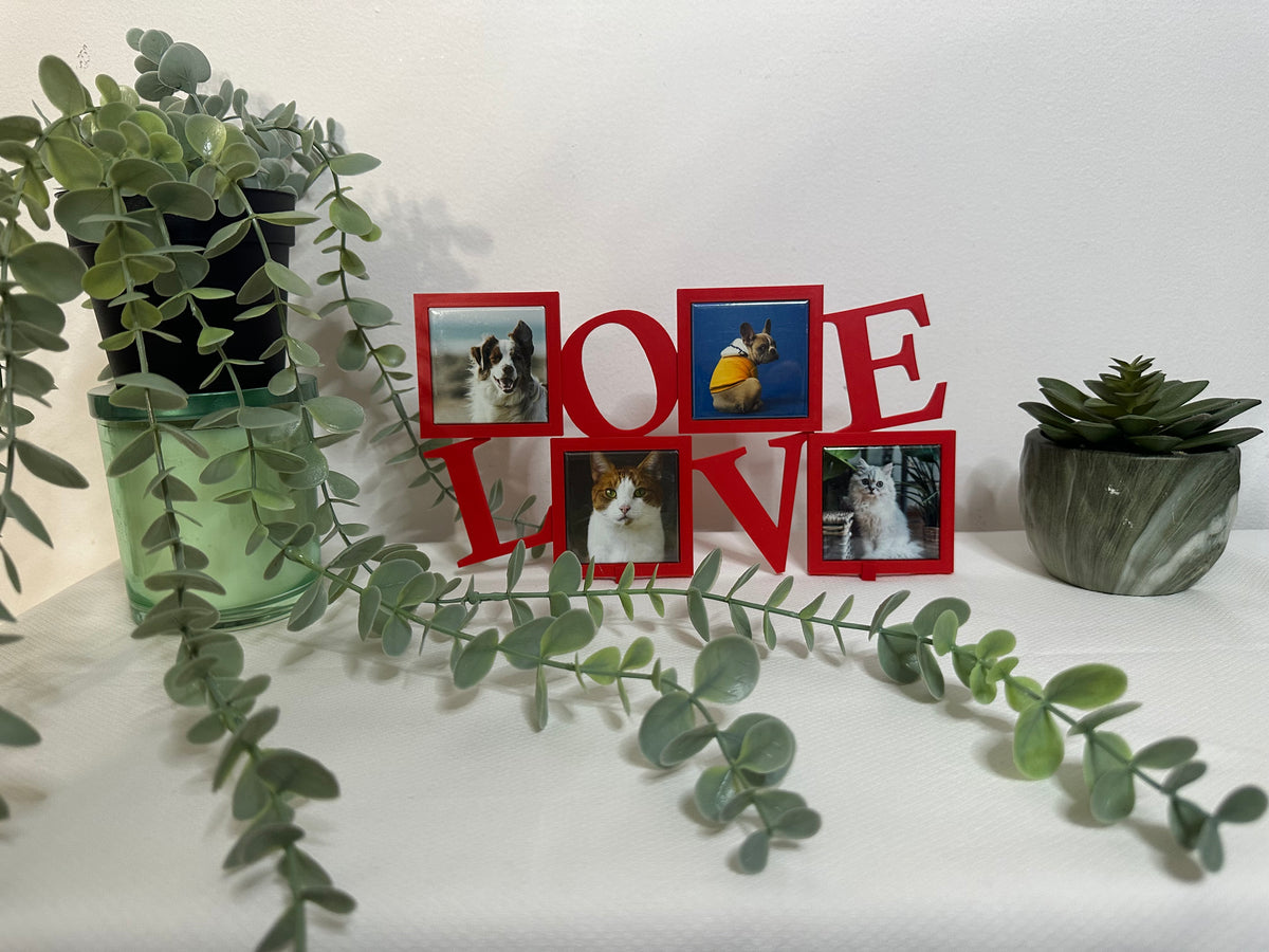 LOVE Frame (Frame Only)
