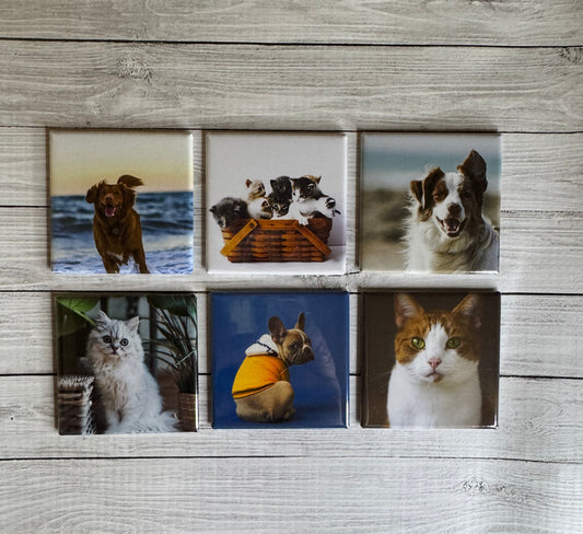 Custom 2" x 2" Photo Magnets Set of 6